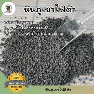 หินภูเขาไฟลาวา โรยหน้ากระถาง ผสมดินปลูกแคคตัส ไม้อวบน้ำ บอนไซ มีทั้งสีดำและสีแดง