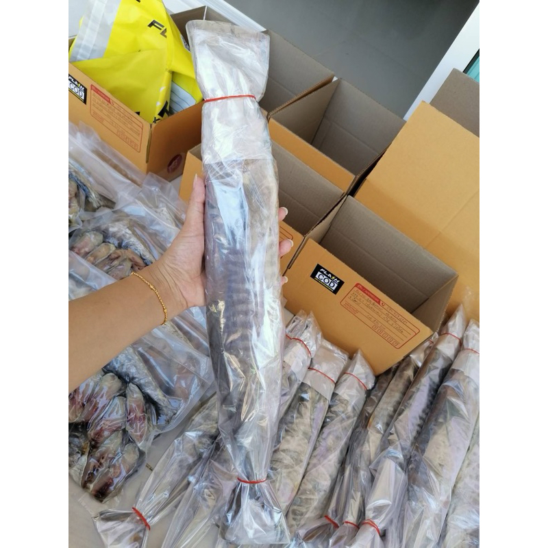ปลาอินทรีย์เค็ม 500-550​ กรัม ,600-650 กรัม น้ำหนักเต็มทุกตัว ซื้อเป็นตัวถูกกว่าหั่นเป็นชิ้นนะคะ