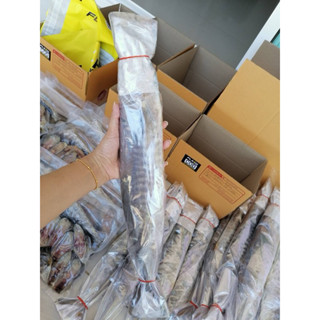 ปลาอินทรีย์เค็ม 500-550​ กรัม ,600-650 กรัม น้ำหนักเต็มทุกตั…