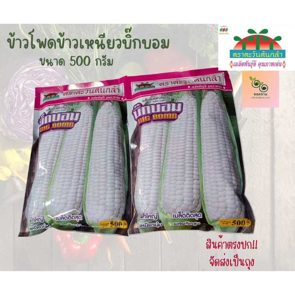 เมล็ดข้าวโพดข้าวเหนียว บิ๊กบอม ขนาด 500 กรัม