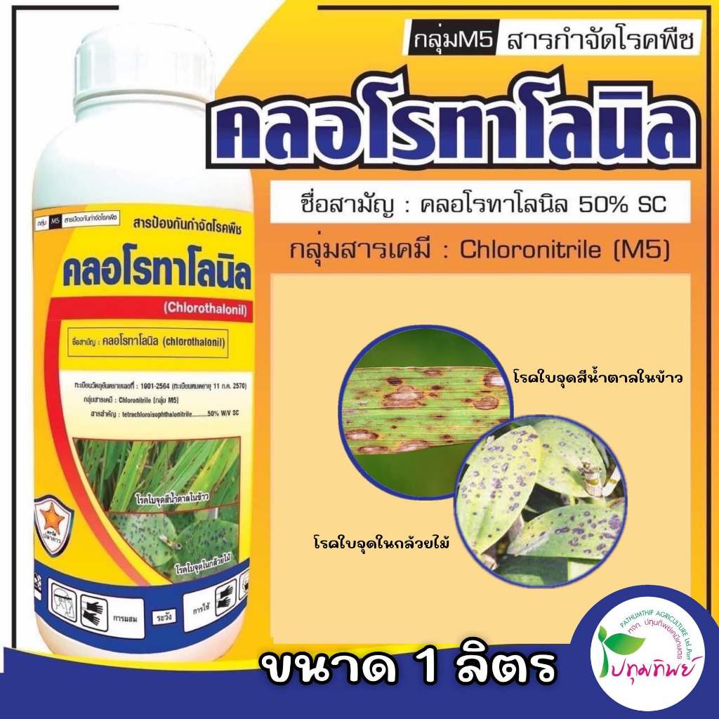 คลอโรทาโลนิล 50%W/V SC ขนาด 1 ลิตร สารป้องกันกำจัดโรคพืช เช่น โรคใบจุดสีน้ำตาล โรคใบไหม้