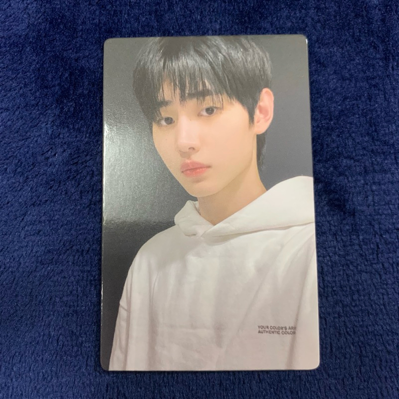 การ์ดซองฮุน enhypen card album