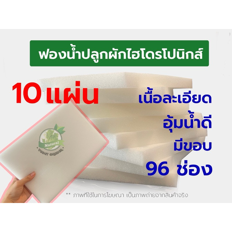 ฟองน้ำปลูกผัก ฟองน้ำปลูกผักไฮโดรโปนิกส์ ฟองน้ำเพาะต้นกล้า 96 ช่อง ชุด 10 แผ่น
