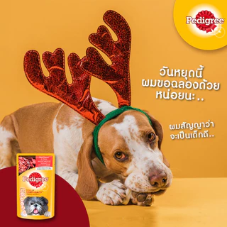 Pedigree Pouch เพดดีกรี อาหารสุนัขชนิดเปียก ขนาด 80G (โหล12ซอง)