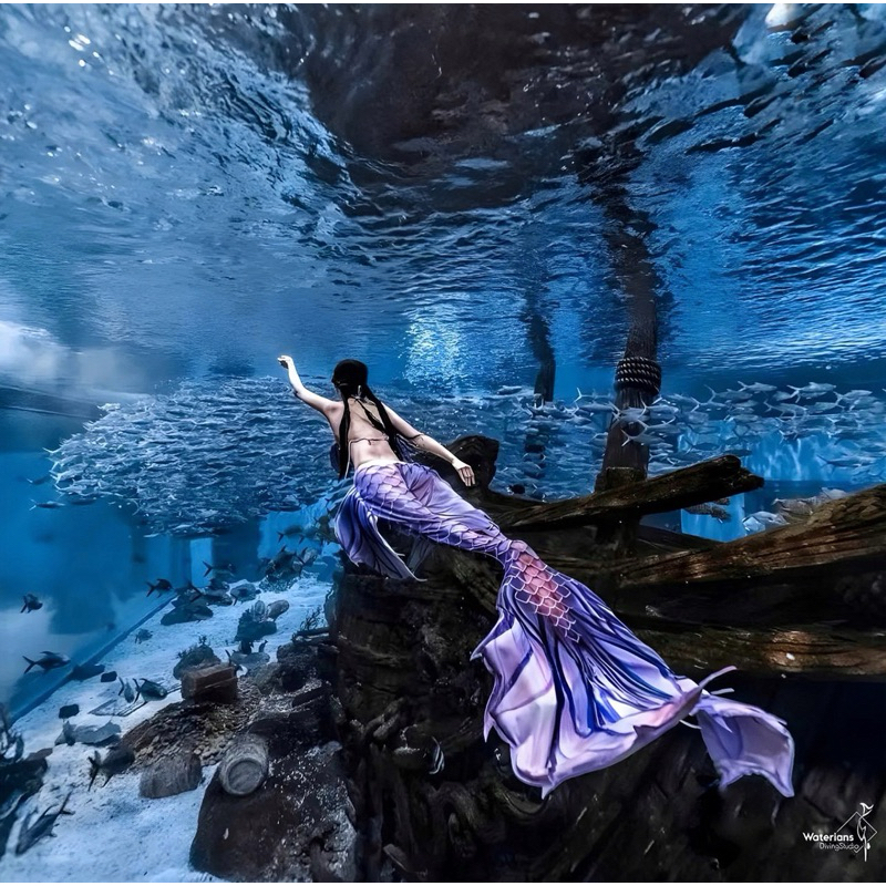 พร้อมส่งในไทย 🇹🇭 หางนางเงือกผ้า หางเงือกผู้ใหญ่ (ลิ้งค์รวมงาน) update ทุกเดือน ขายแล้วลบ - รูปที่ 3