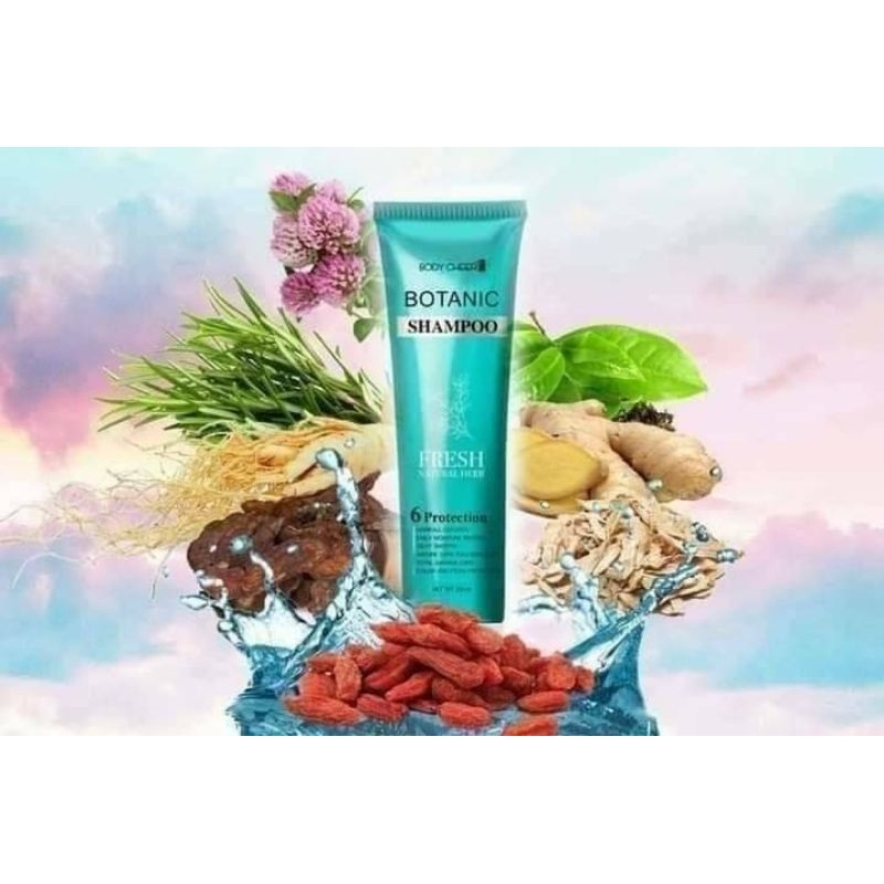 Botanic shampoo แชมพูสูตรเย็น