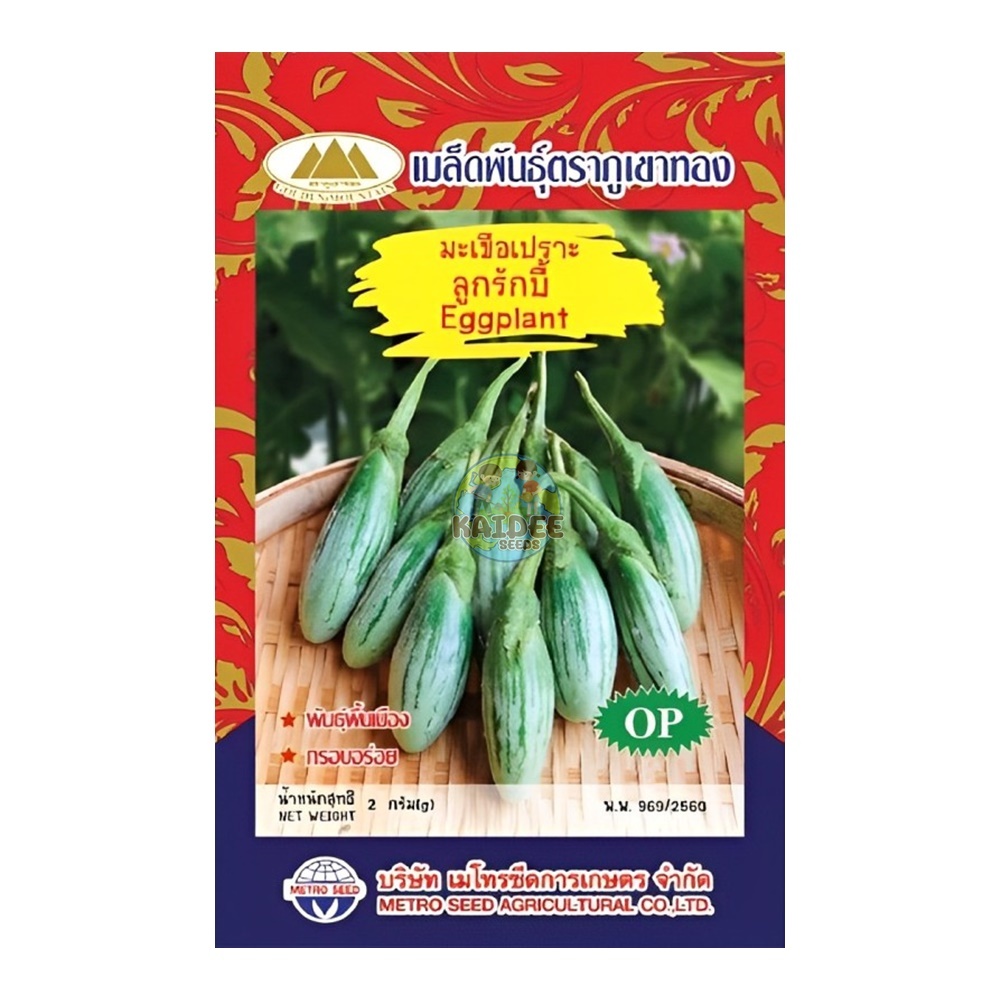 เมล็ดมะเขือเปราะลูกรักบี้ ตราภูเขาทอง ขนาด2กรัม Eggplant เมล็ดมะเขือเปราะ เมล็ดพันธุ์มะเขือเปราะ มะเขือเปราะ
