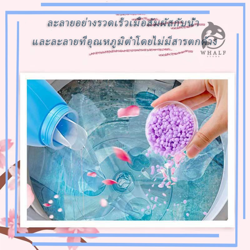 น้ำหอมซักผ้า ปรับผ้านุ่ม ลูกปัดกลิ่นหอมซักอบรีด 72 ชั่วโมง กลิ่นหอมติดทนาน เม็ดหอมซักผ้า เม็ดน้ำยาปรับผ้านุ่ม น้ำหอมซักผ