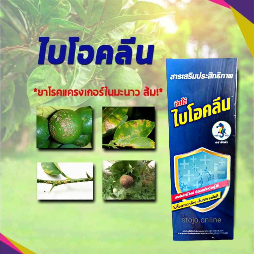 ยาโรคแครงเกอร์ มะนาว ส้ม ฆ่าเชื้อรา ไวรัส แบคทีเรียสูงถึง 99% ออกฤทธิ์ไว ขนาด 1 ลิตร ราคา ถูกที่สุด ดีลบีเคเค รูปภาพหลัก