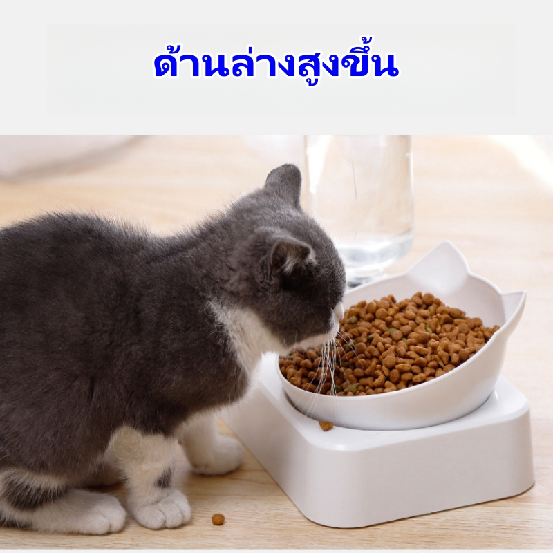 ถ้วยข้าวน้องแมว ชามให้อาหารสัตว์เลี้ยง ชามทรงหน้าน้องแมวสีทึบ มาพร้อมที่ให้น้ำอัตโนมัต 2in1 สวยงาม Cat bowl