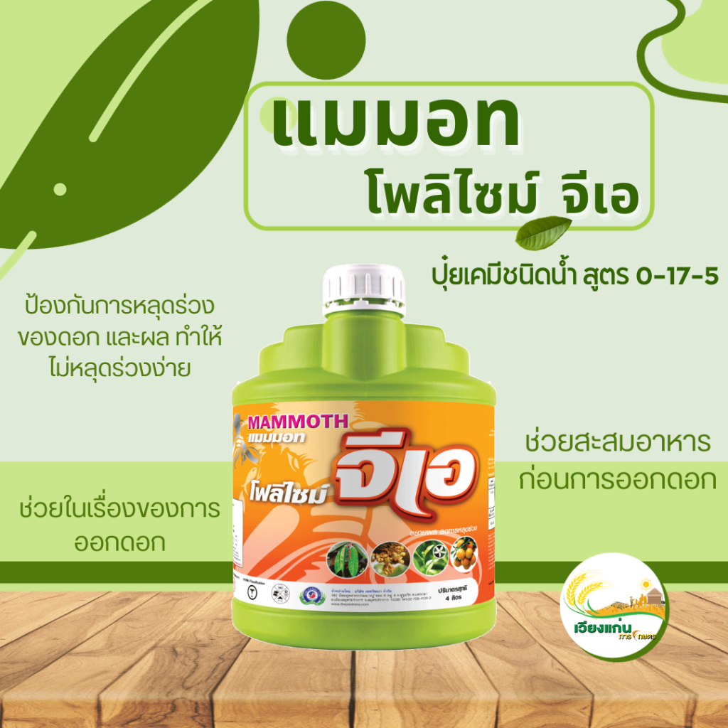 แมมมอท โฟลิไซม์ จีเอ | 4 ลิตร