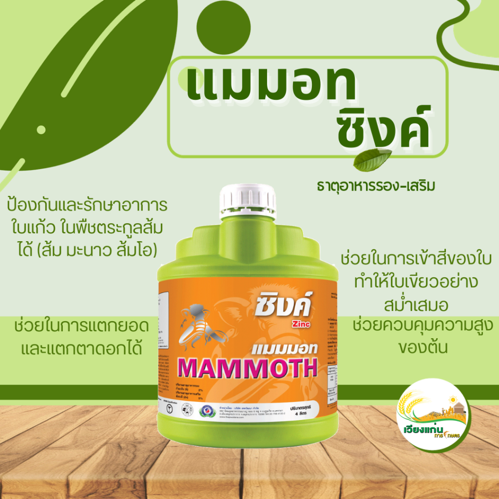 แมมมอท ซิงค์ | 4 ลิตร