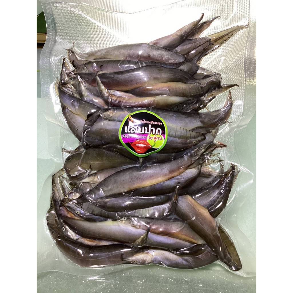 ปลาหรดแดดเดียว น้ำหนัก 500 กรัม