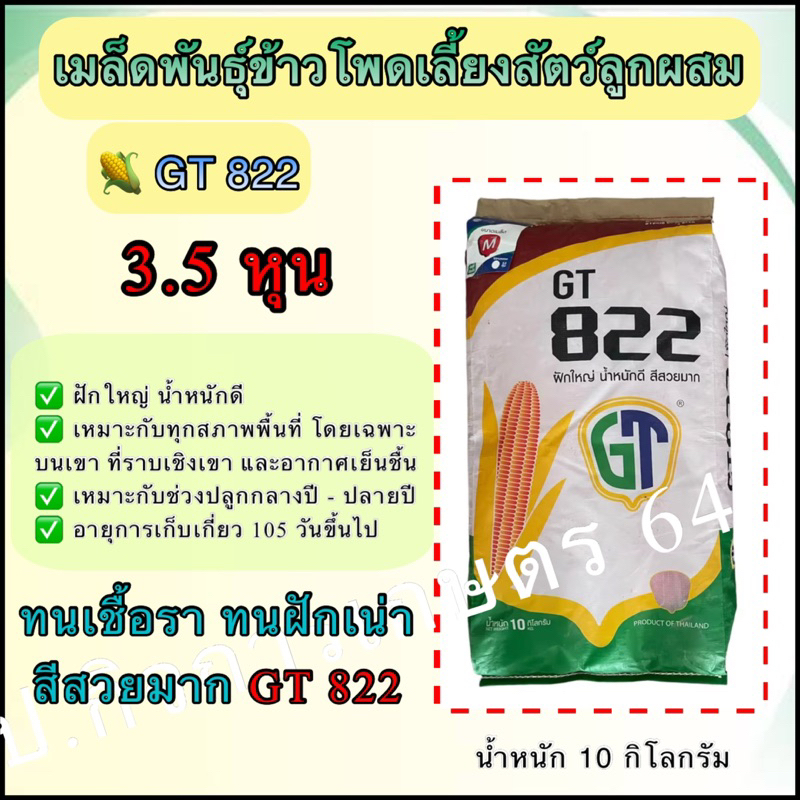 เมล็ดพันธุ์ข้าวโพดเลี้ยงสัตว์ GT822 เม็ด 3.5 หุน 10 กิโลกรัม เหมาะกับทุกพื้นที่ 🌽ฝักใหญ่ น้ำหนักดี ส