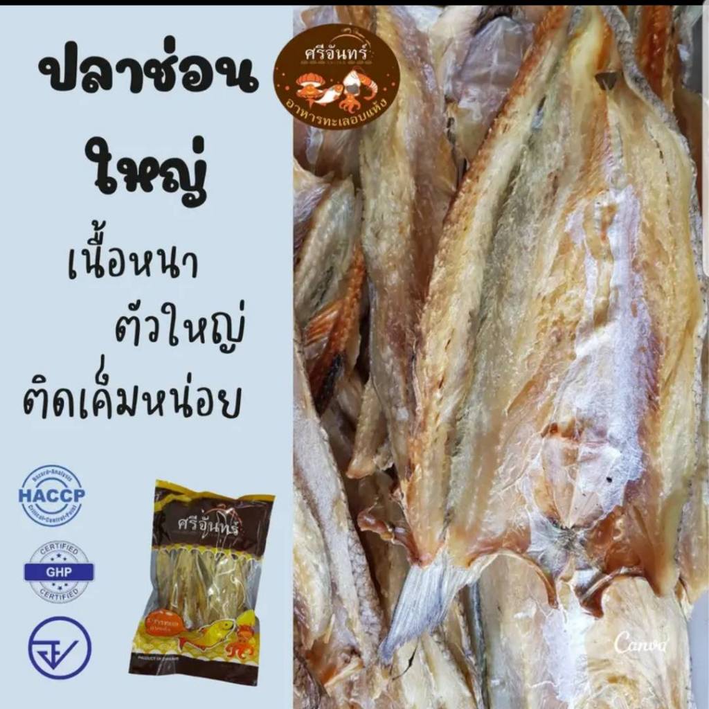ปลาช่อนทะเล ไซส์ใหญ่ เนื้อหนา ติดเค็ม ขนาด 250 / 500 กรัม - ศรีจันทร์