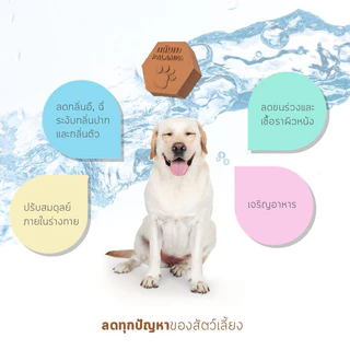 Kalampa ก้อนสมุนไพรแช่น้ำดื่มสำหรับสุนัขและแมว ช่วยให้สัตว์เลี้ยงกินน้ำมากขึ้น ปรับสมดุลร่างกาย