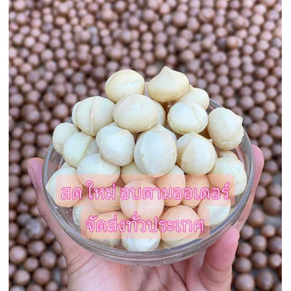 แมคคาเดเมียดอยช้าง เม็ดเต็มทุกเม็ด 500กรัม** ขนาดเม็ดA2 (14-16mm)***