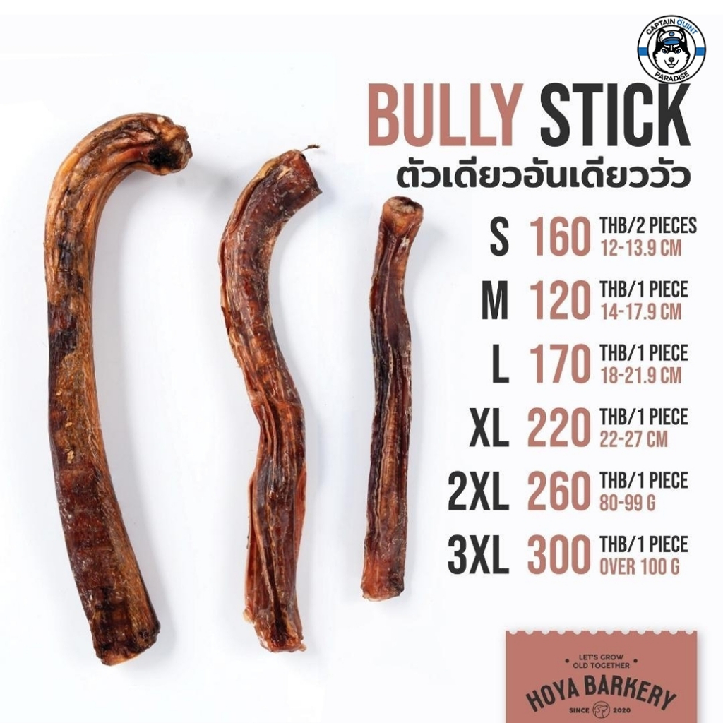 Hoya Barkery : Bully Stick ตัวเดียวอันเดียววัว (S,M,L)