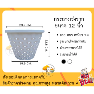 (แพ็ค10ใบ) กระถางเร่งราก AIRPOT ขนาด 12 นิ้ว ลายสับปะรด (มีส่วนลดและของแถม) กระถางแอร์พอตพลาสติก เร่งราก