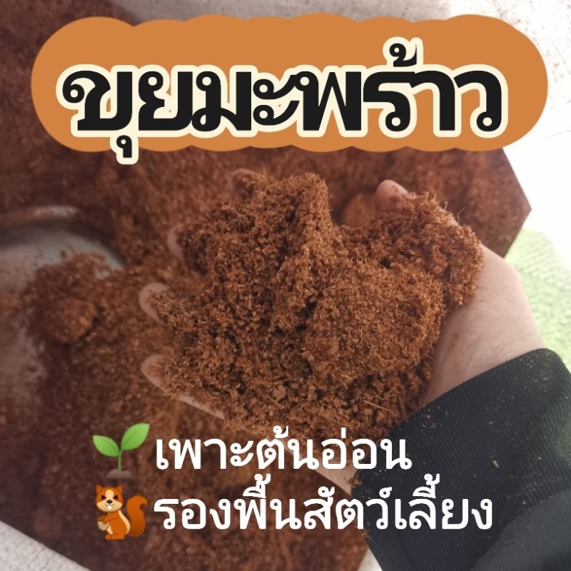 ขุยมะพร้าว​ สำหรับเพาะต้นกล้า​ เพาะต้นอ่อน​(1กก.)
