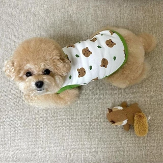PetStern เสื้อกั๊กสัตว์เลี้ยง ขนาดเล็ก ลายหมีน่ารัก แฟชั่นฤดูใบไม้ผลิ และฤดูร้อน สําหรับสุนัข แมว