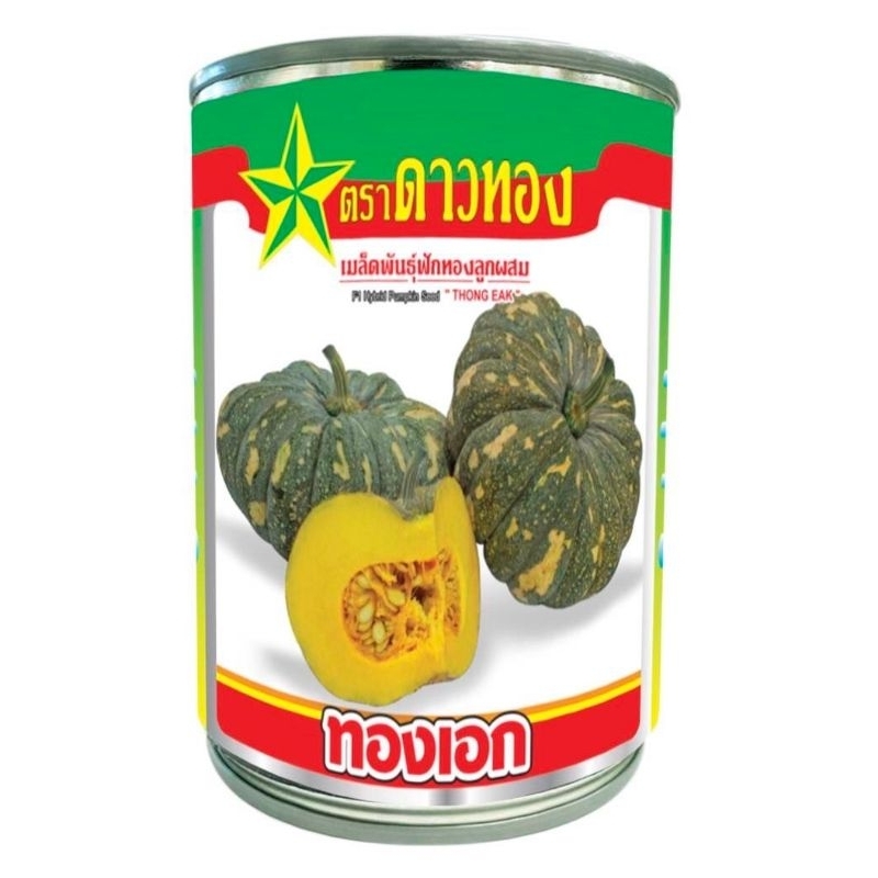 ฟักทองลายข้าวตอก ทองเอก (100กรัม)