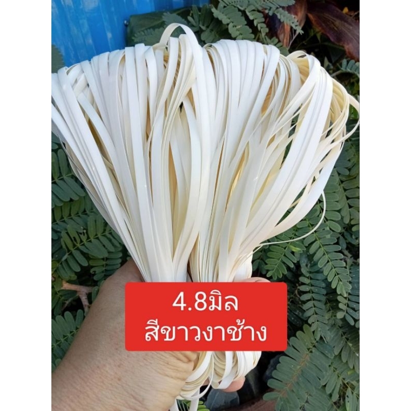 เส้นหวายเทียมขนาด 4.8 มิล สีขาวงาช้าง