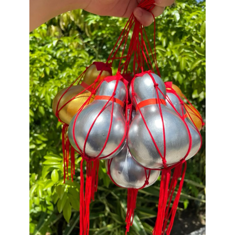 น้ำเต้าทอง น้ำเต้าเงิน แท้จากธรรมชาติ - รูปที่ 6