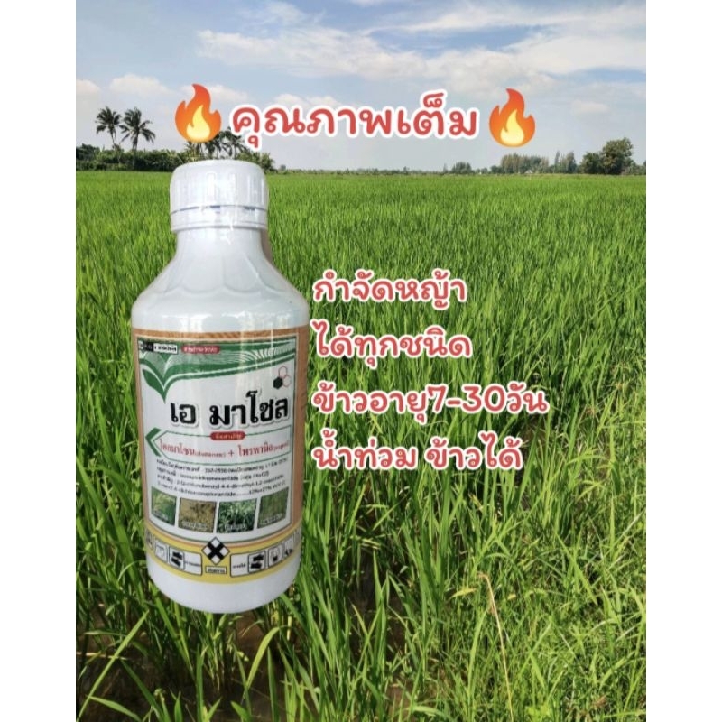 ยาฆ่าหญ้าในนาข้าว(เอมาโซล1ลิตร)โคลมาโซน+โพพานิล