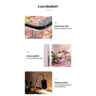 ตู้เก็บปลา ตู้ปลาตั้งโต๊ะ ปลาทอง บ่อปลา 39*21.5*22CM