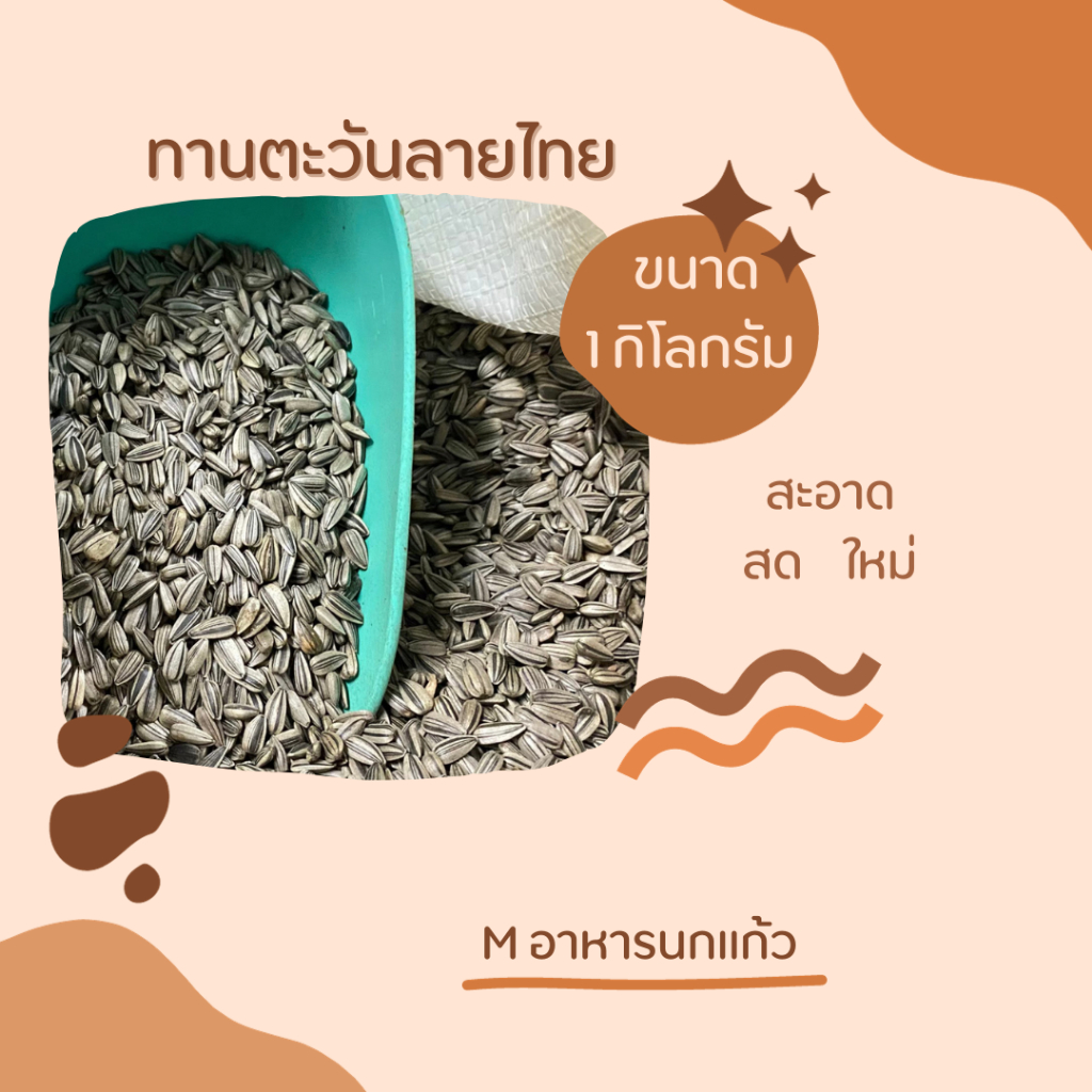 ทานตะวันนกแก้ว  *เล็ก*ขนาด 1Kg. ธัญพืช อาหารนก อาหารนกเล็ก เลิฟเบิร์ด หงหยก ฟอพัส อาหารนกแก้ว  ธัญพืชนก