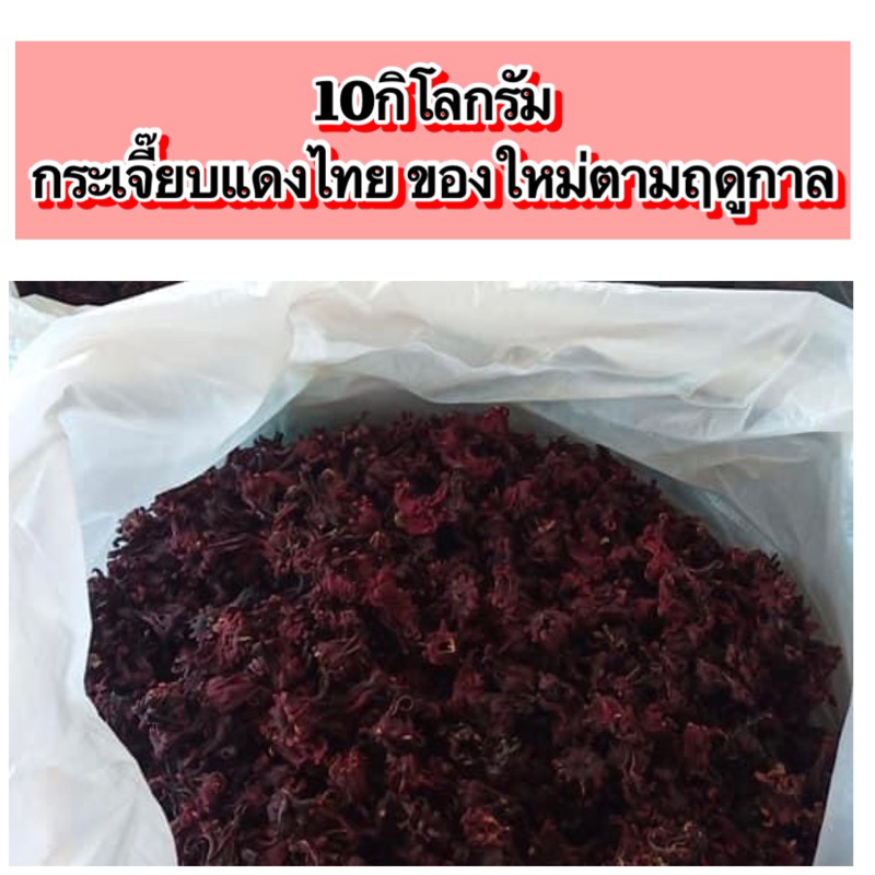 กระเจี๊ยบแดง (ของไทย) 10กิโล ขายยกกระสอบ คัดอย่างดี ของใหม่ตามฤดูกาล