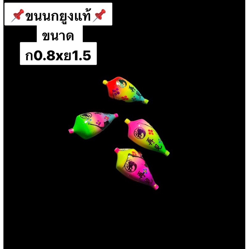 ทุ่นขนนกยูงแท้ ขนาดกว้าง 0.8 ยาว 1.5 ข่าง บาลานซ์ดีแน่นอน