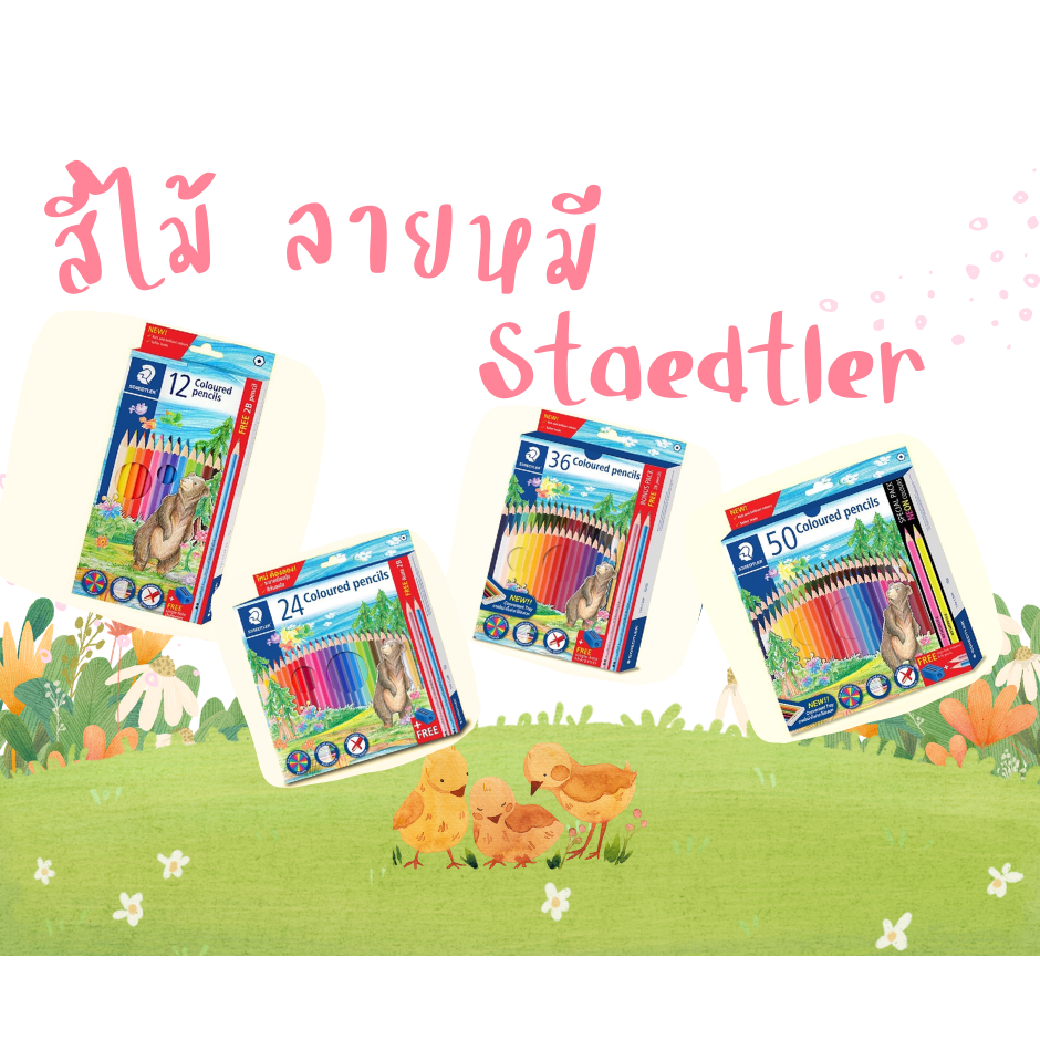 สีไม้ Staedtler รุ่น 143 ลายหมี 12 สี / 24 สี / 36 สี /50 สี