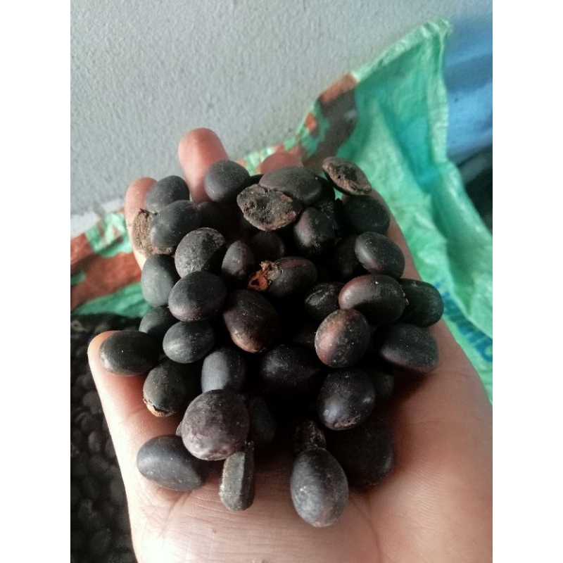 มะค่าแต้1กิโล70บาเป็นไม้เนื้อแข็ง