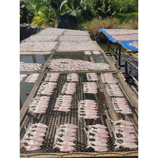 หมึกแพเรือไดร์ จากบ้านเพระยอง ทางร้าน(ทำเอง)นะคะ สินค้าคุณภาพ ไม่มีสารเคมีแช่ใดๆ เค็มน้อย อร่อยฮิ