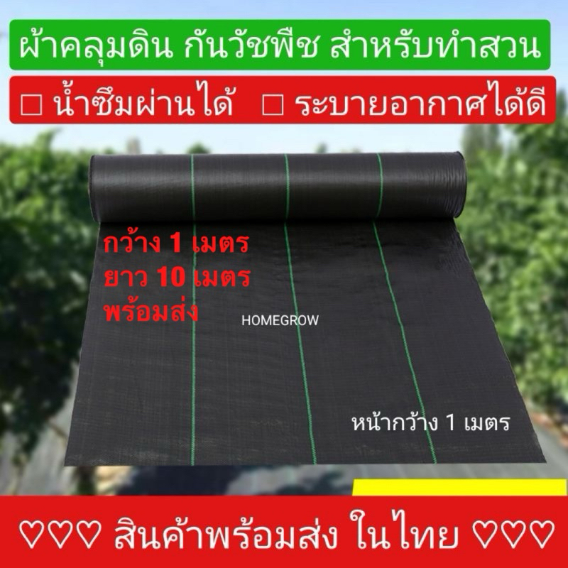 ผ้าคลุมดิน 10เมตร แบบไม่เจาะรู และ แบบเจาะรู อย่างดี ใช้งานยาวนาน เหนียว ทนทาน ผ้าคลุมหญ้า ฆ่าหญ้า ฆ่าวัชพืช กำจัดหญ้า