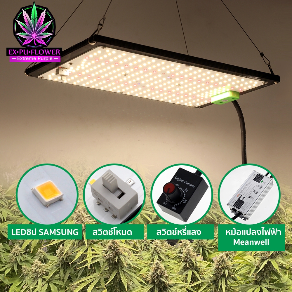 ไฟปลูกต้นไม้ LED 2400W หรีแสงได้ SAMSUNGLM301H Quantum สำหรับดอกไม้เรือนกระจกปลูกพืชผักไฟปลูกต้นไม้ grow light