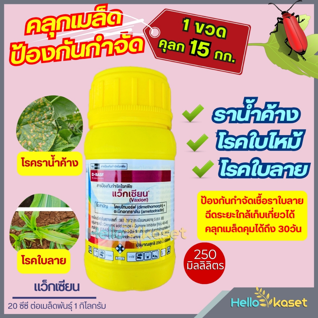 กำจัดโรคพืช  โรคราน้ำค้าง แว็กเซียน ไดเมโทมอร์ฟ + อะมีทอกทราดิน ขนาด 250 ซีซี