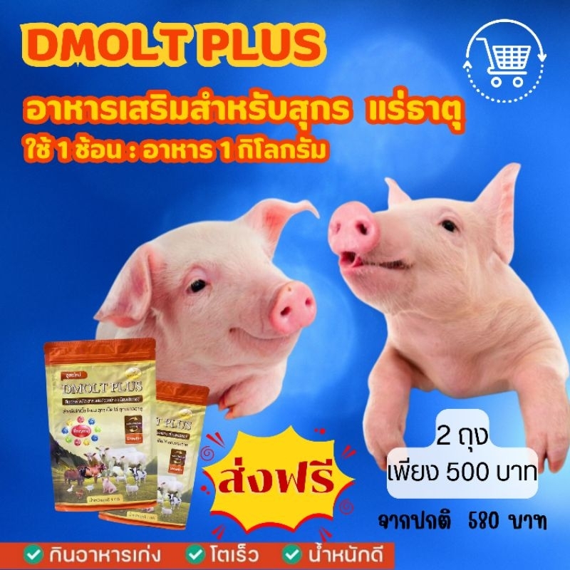 DMOLT PLUS ดีมอลต์ พลัส อาหารเสริมสำหรับโคเนื้อโคนม สุกร เป็ด ไก่ ทุกขนาดอายุ อาหารเพื่อการเจริญเติบ