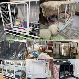 Pawblic🐕กรงหมา กรงสุนัข กรงสุนัขใหญ่ คอกหมา กรงหมาขนาดใหญ่ มีล้อสากล สกายไลท์ แข็งแรงและทนทาน เหมาะสำหรับสุนัข แมว