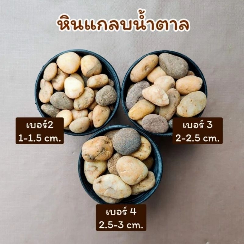 หินแกลบสีน้ำตาล น้ำหนัก 500 กรัม (เบอร์ 1-5)