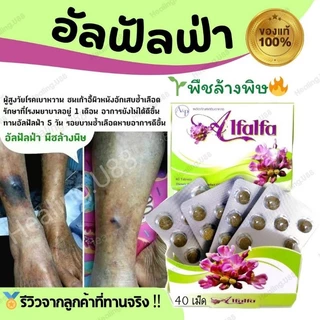 🌱อัลฟัลฟ่า​ Alflafa​🎖️ของแท้💯% มีรีวิว​จริง👍💥ล้างพิษ​ สร้างภูมิ ผิวใส​ ผิวขาว​ ดี​ท็อกซ์​ detox​ กรดไหลย้อน​ อัลฟาฟ่า