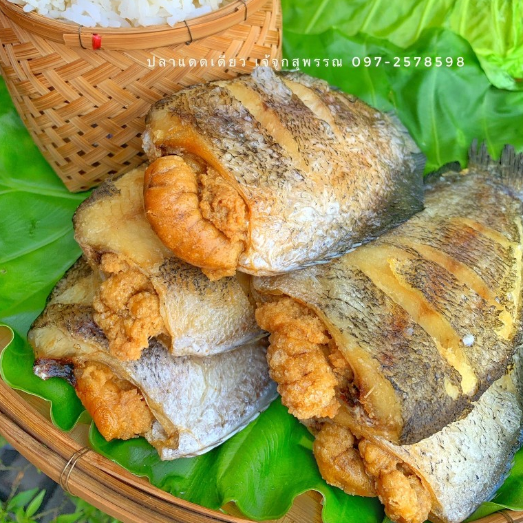 รูปภาพ 5