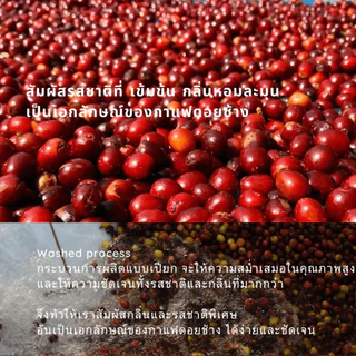 กาแฟดริปดอยช้าง สูตรพิเศษ เบลนด์อาราบิก้า+โรบัสต้า(Arabica Robusta Blend) แบบซอง Drip Bag coffee พร้อมดื่ม 10gx10ถุงดริป