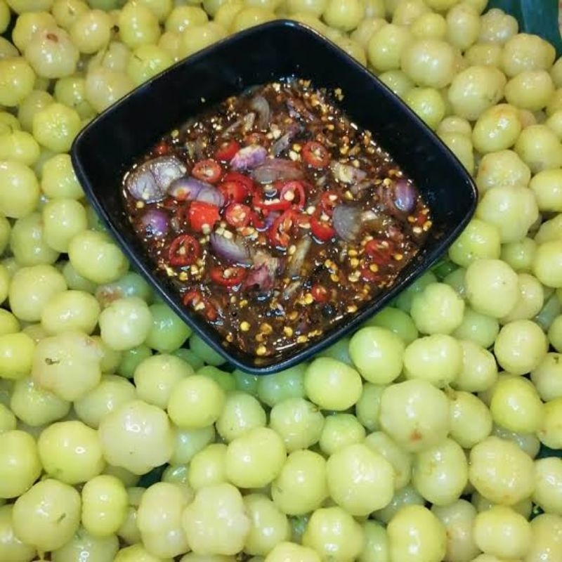 ต้นมะยมเปรี้ยว ไม้มงคล นิยมปลูกหน้าบ้าน ผลนำไปทานสด ,ดอง,เเช่อิ่ม ,ใบอ่อนกินได้  ต้นเเข็งเเรงพร้อมปลูก - รูปที่ 5