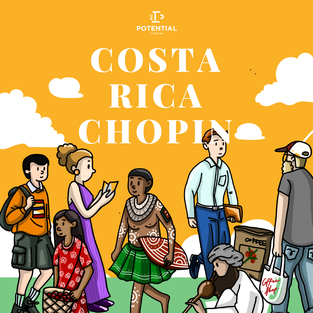 Potential Coffee Lab กาแฟคั่วอ่อน Costa Rica Chopin