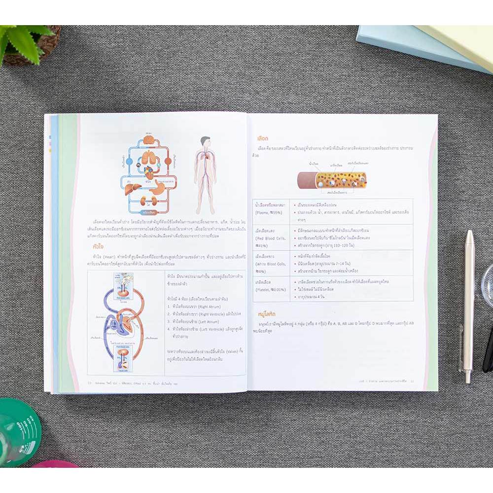 Infopress(อินโฟเพรส)หนังสือ Advance วิทย์ ป.6+พิชิตสอบ Gifted ม.1 รร. ชั้นนำ มั่นใจเต็ม 100 (9786164872554) - รูปที่ 2