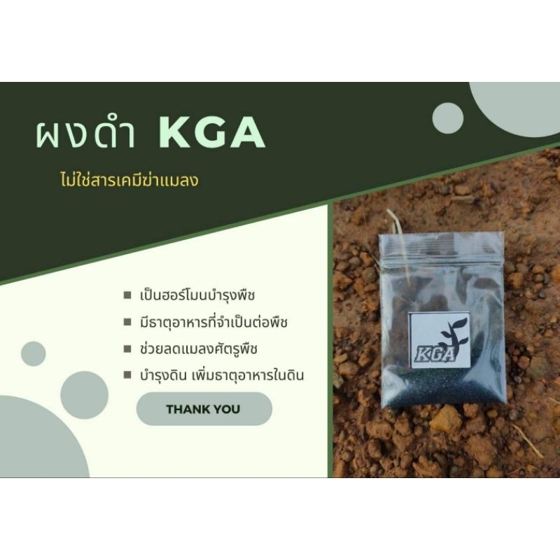 ผงดำKGA ลดต้นทุนเพิ่มผลผลิต