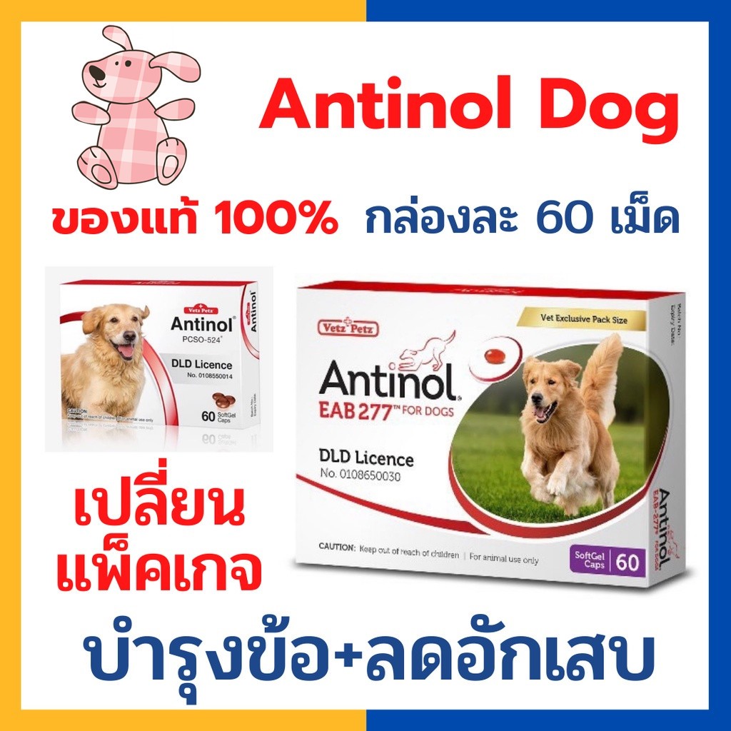 【ของแท้100%】Antinol DOG ช่วยบำรุงข้อ กระดูก ขน ผิวหนัง และไต(1 กล่อง 60 caps) สำหรับสัตว์เลี้ยง EXP.03/2025